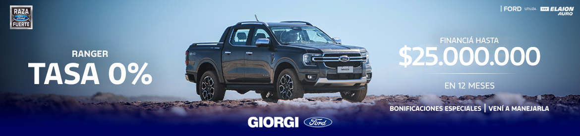 Banner Giorgi