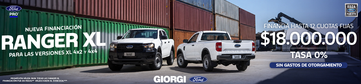 Banner Giorgi