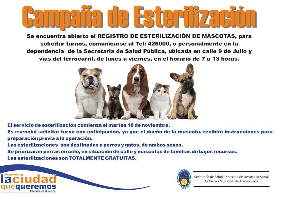 Campaña Esterilizacin