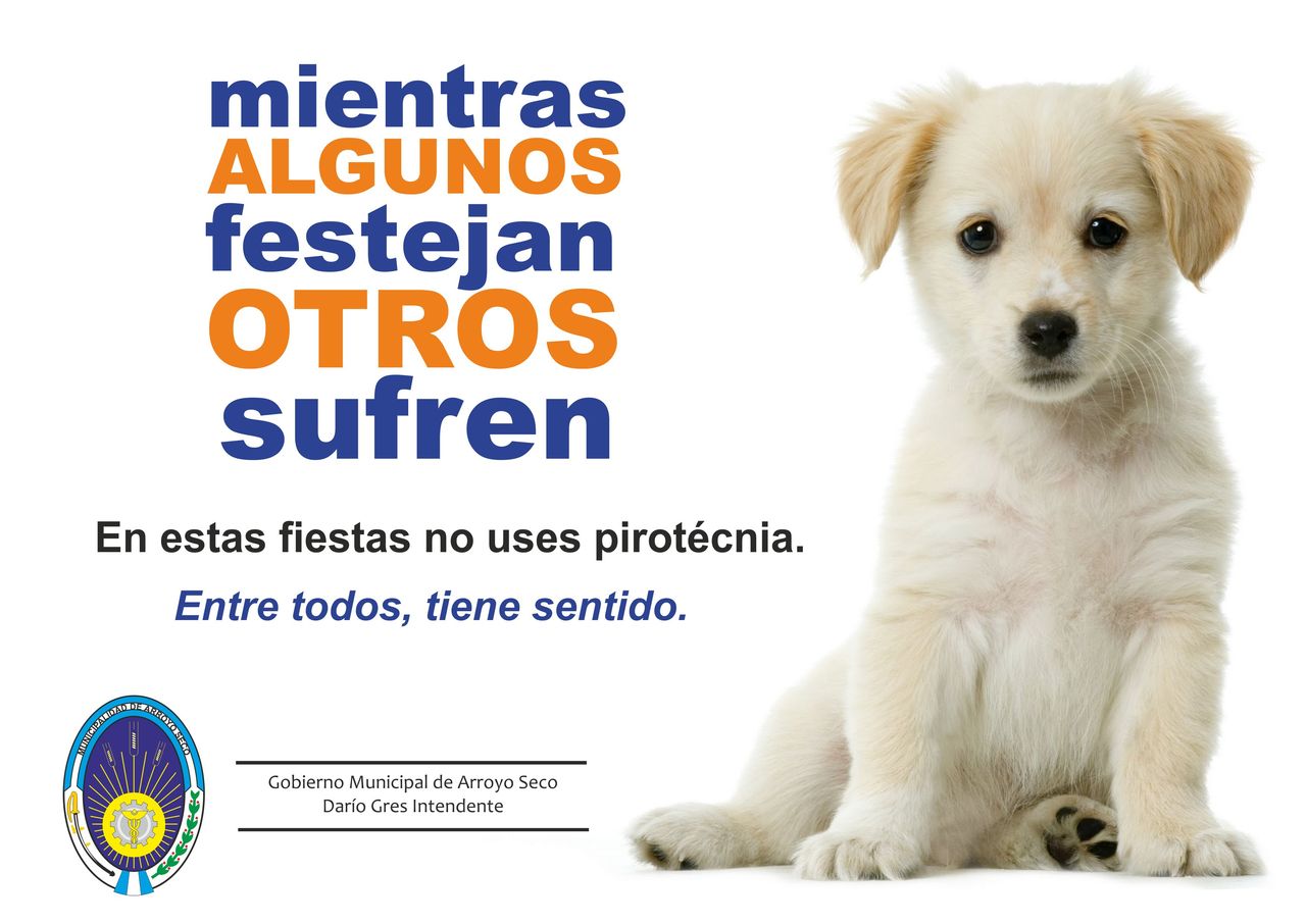 Afiche pirotecnia 1