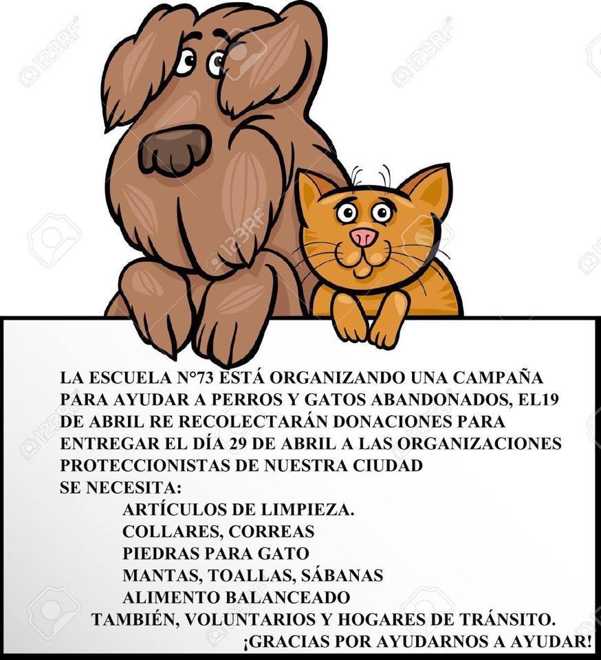Afiche campaña
