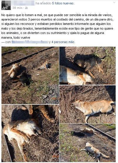 Captura facebook