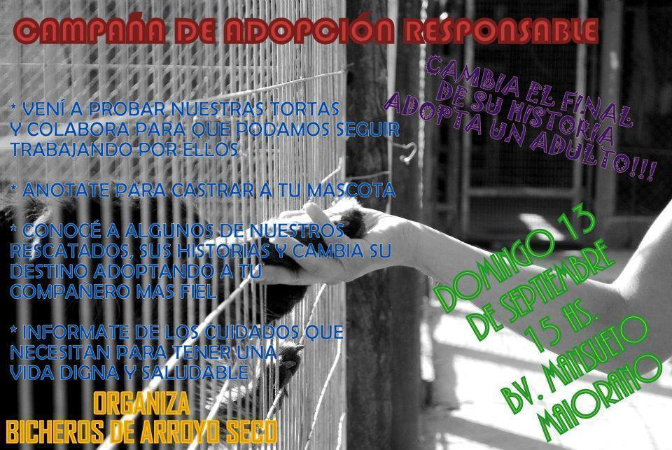 Nueva campaña
