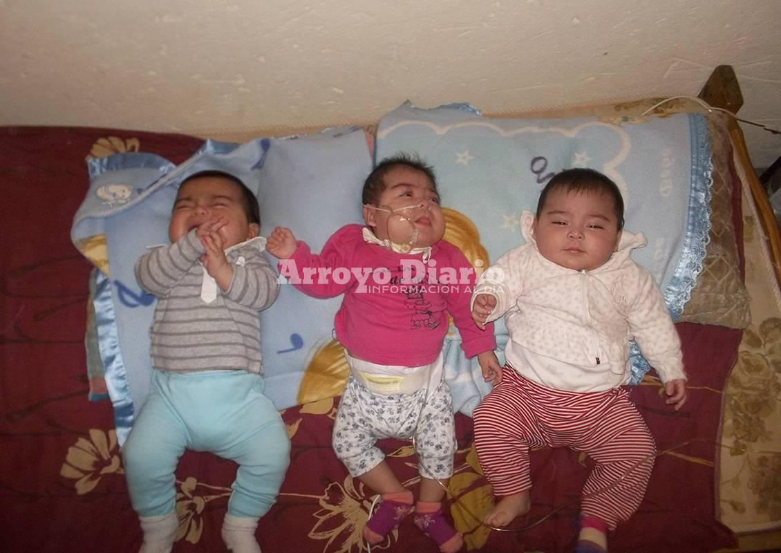 Bebes los tres