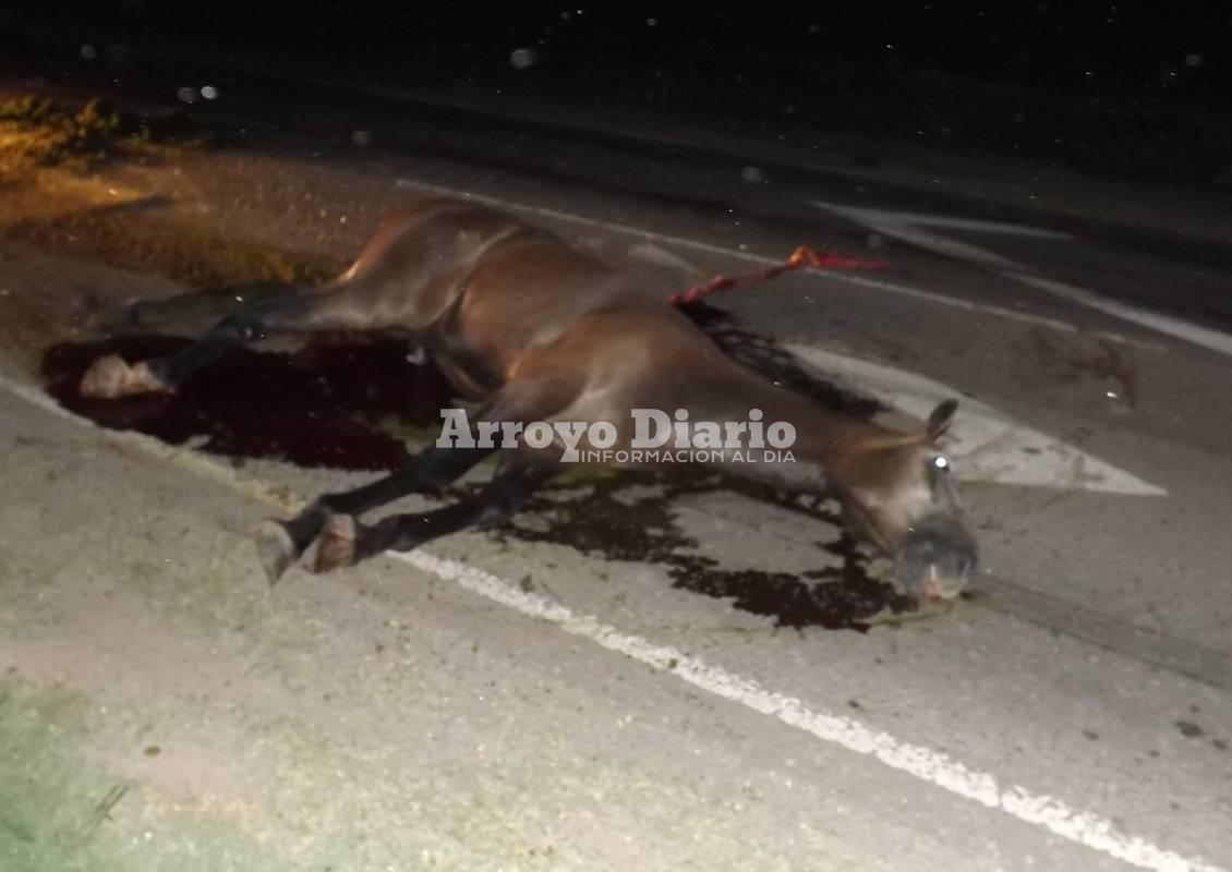 Caballo