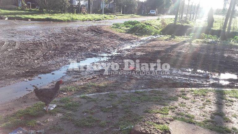 barro 2