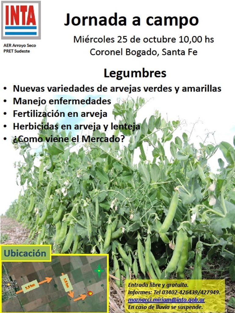 Jornada