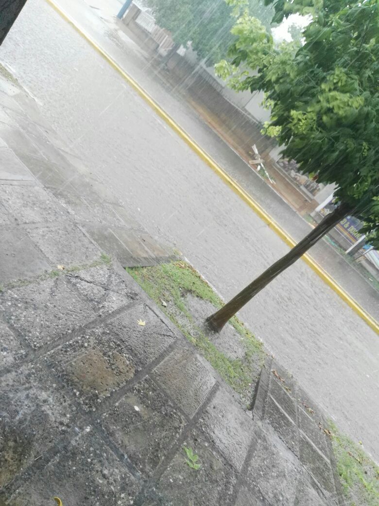libertad y juarez celman