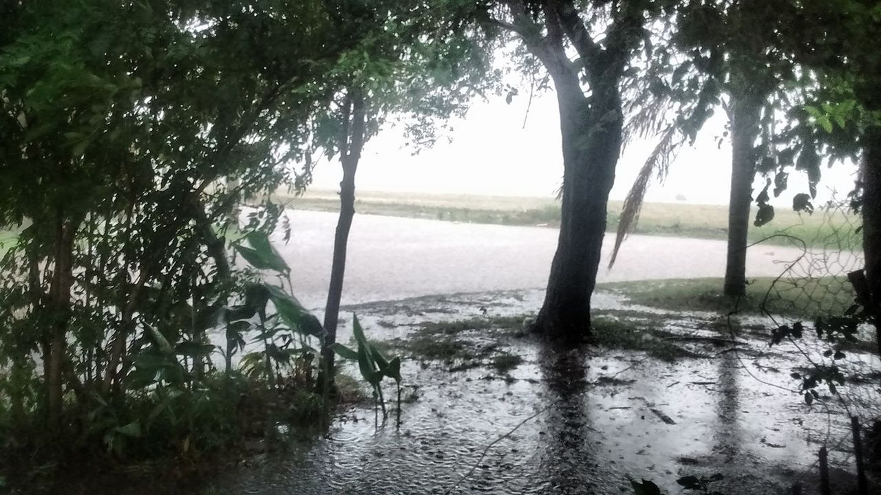sarmiento y 12 de abril