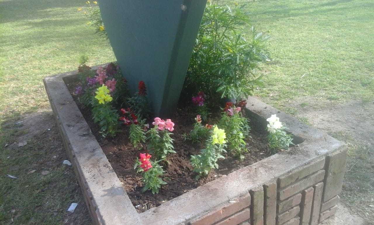 plantines 2