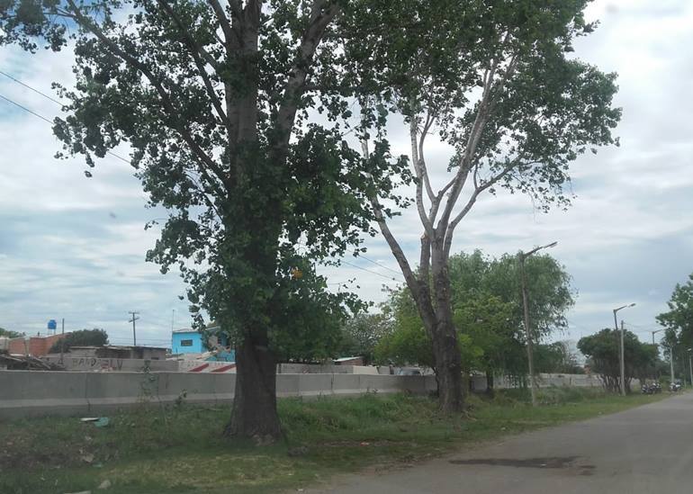 barrio