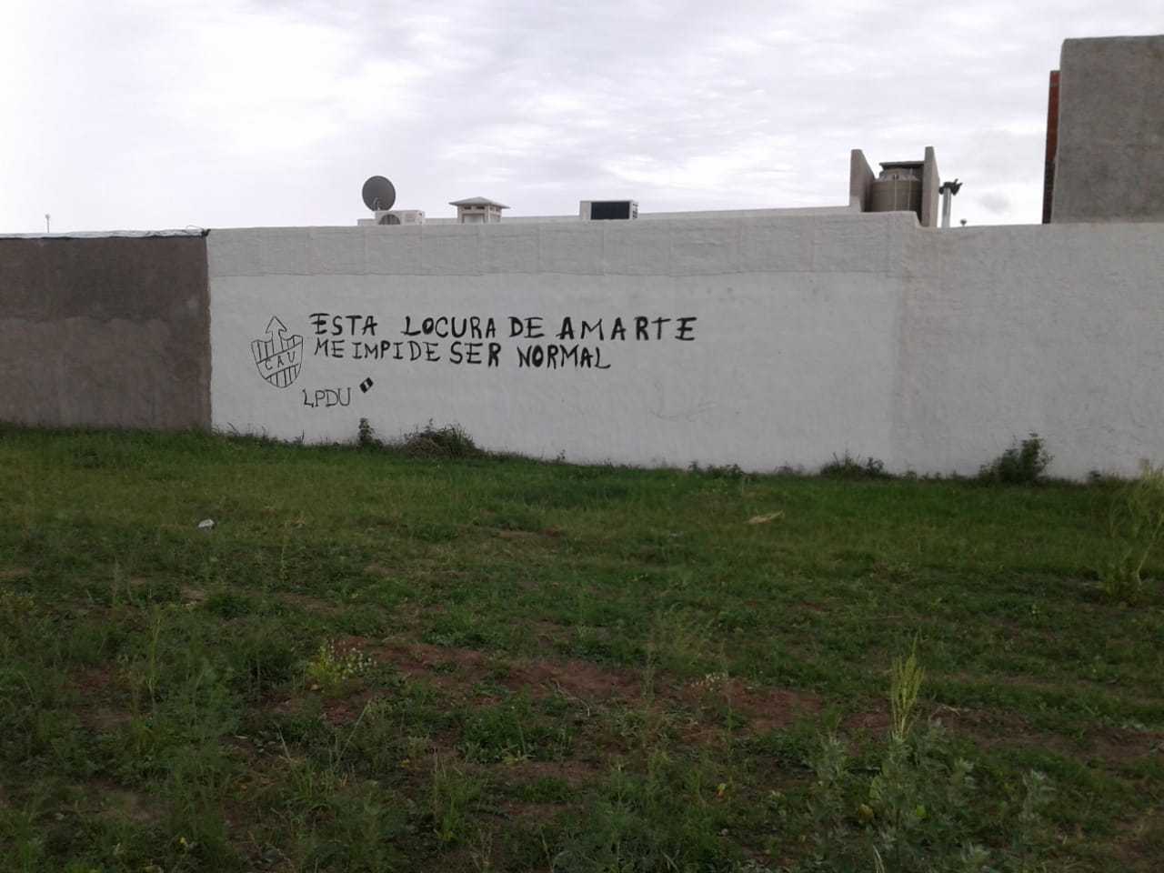 pintada 1