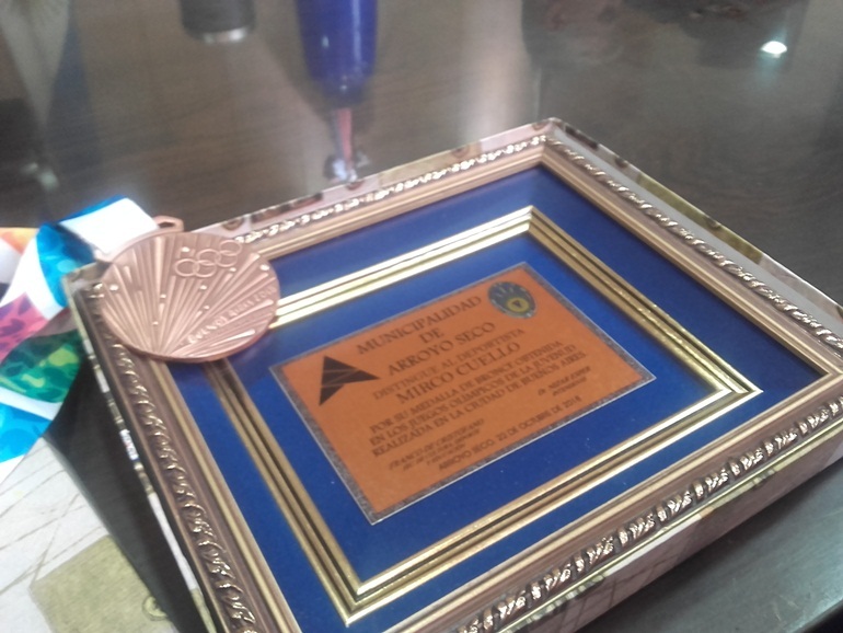plaqueta