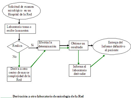 Organigrama