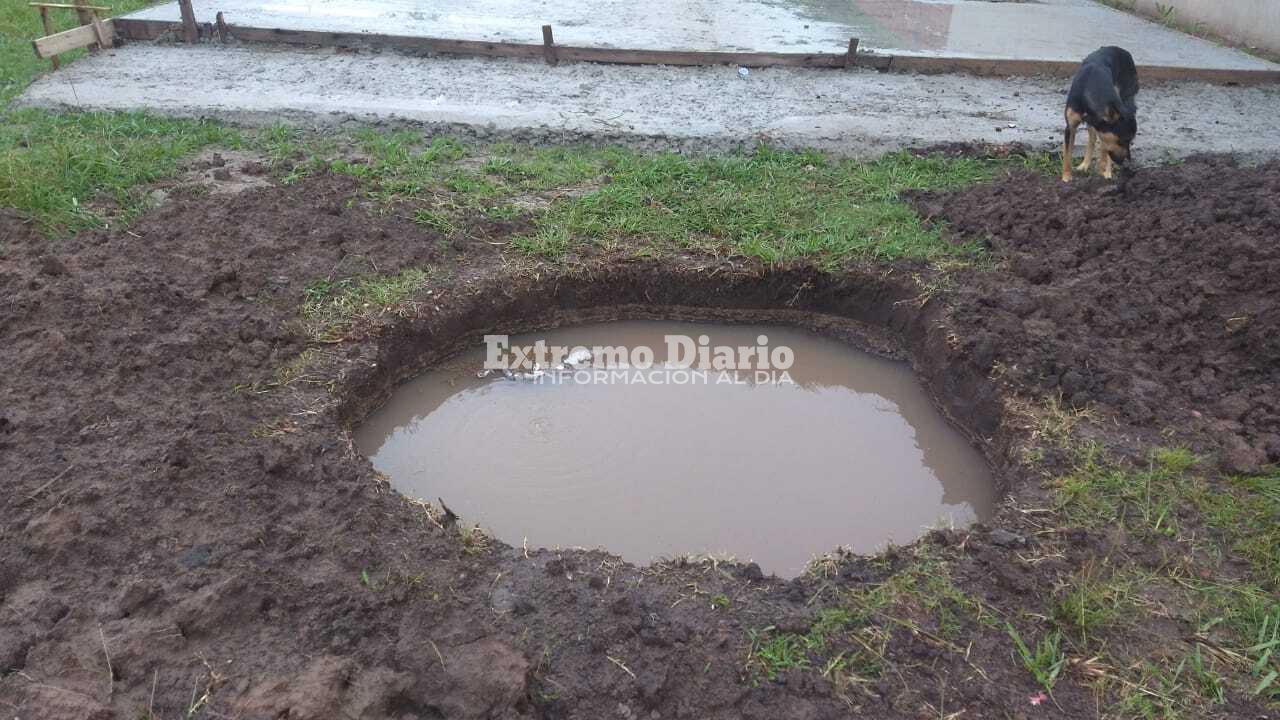 pcpavon11