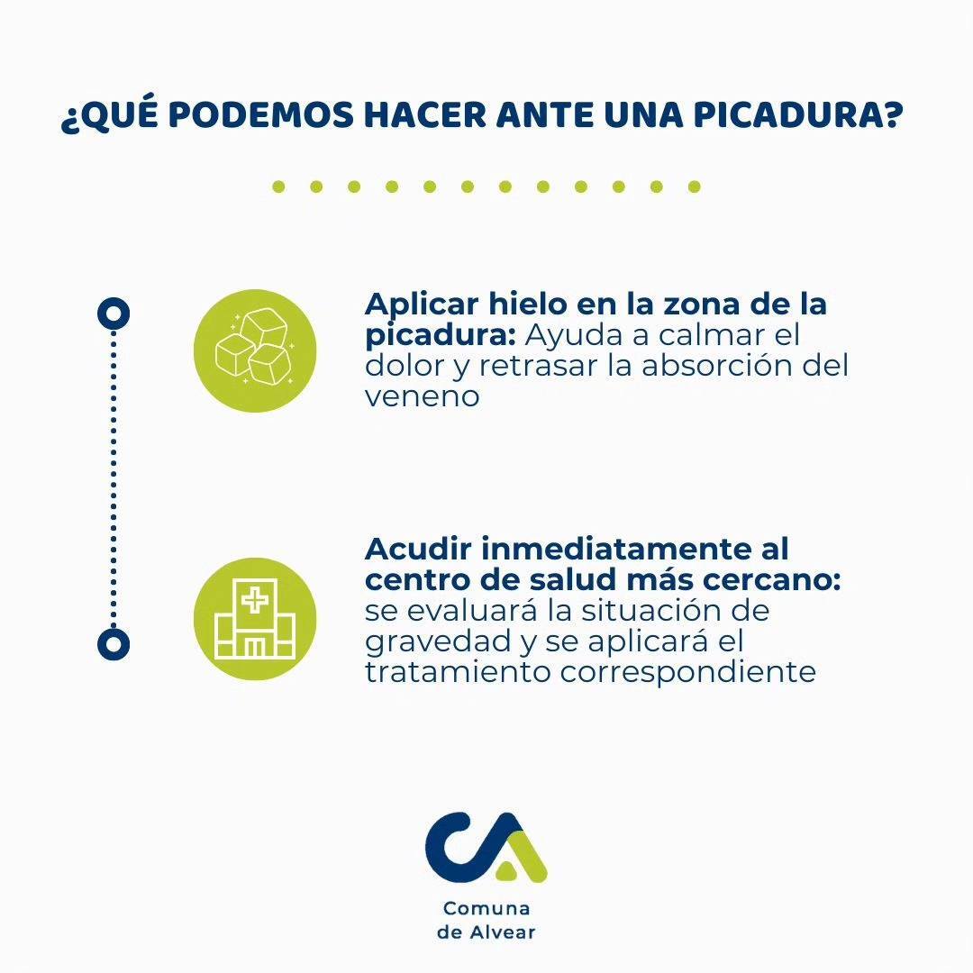 picadura 1