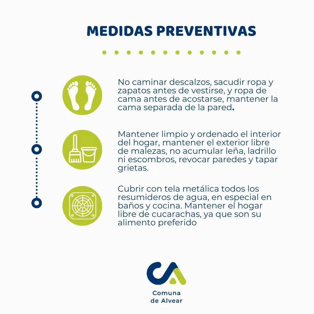picadura 3