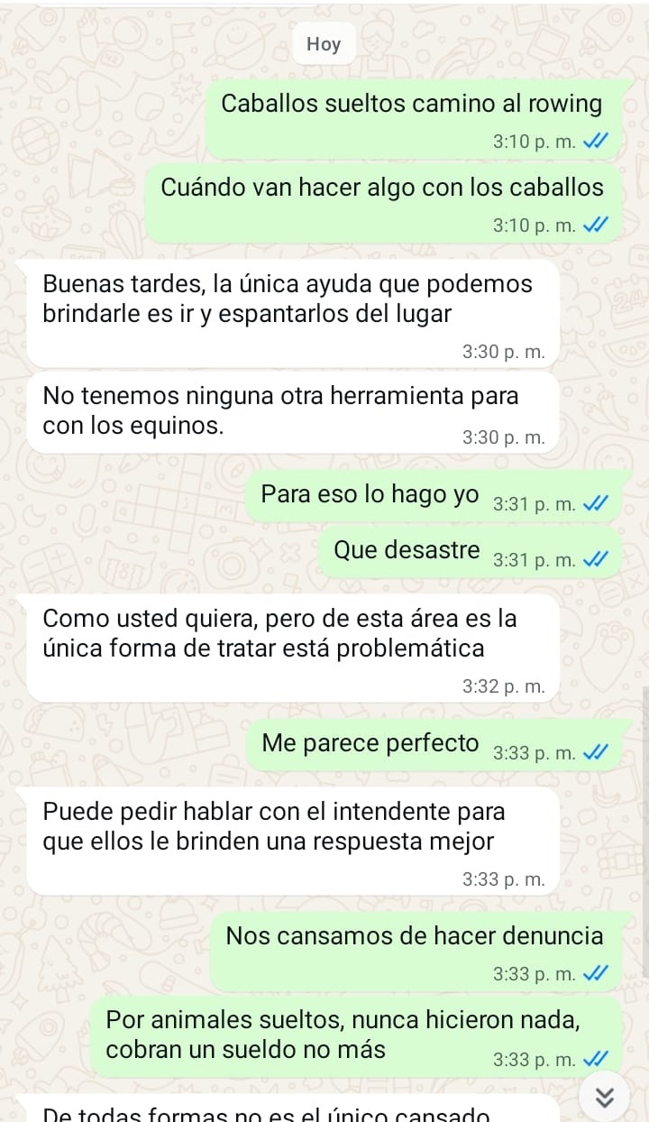 Captura 1 Captura 1