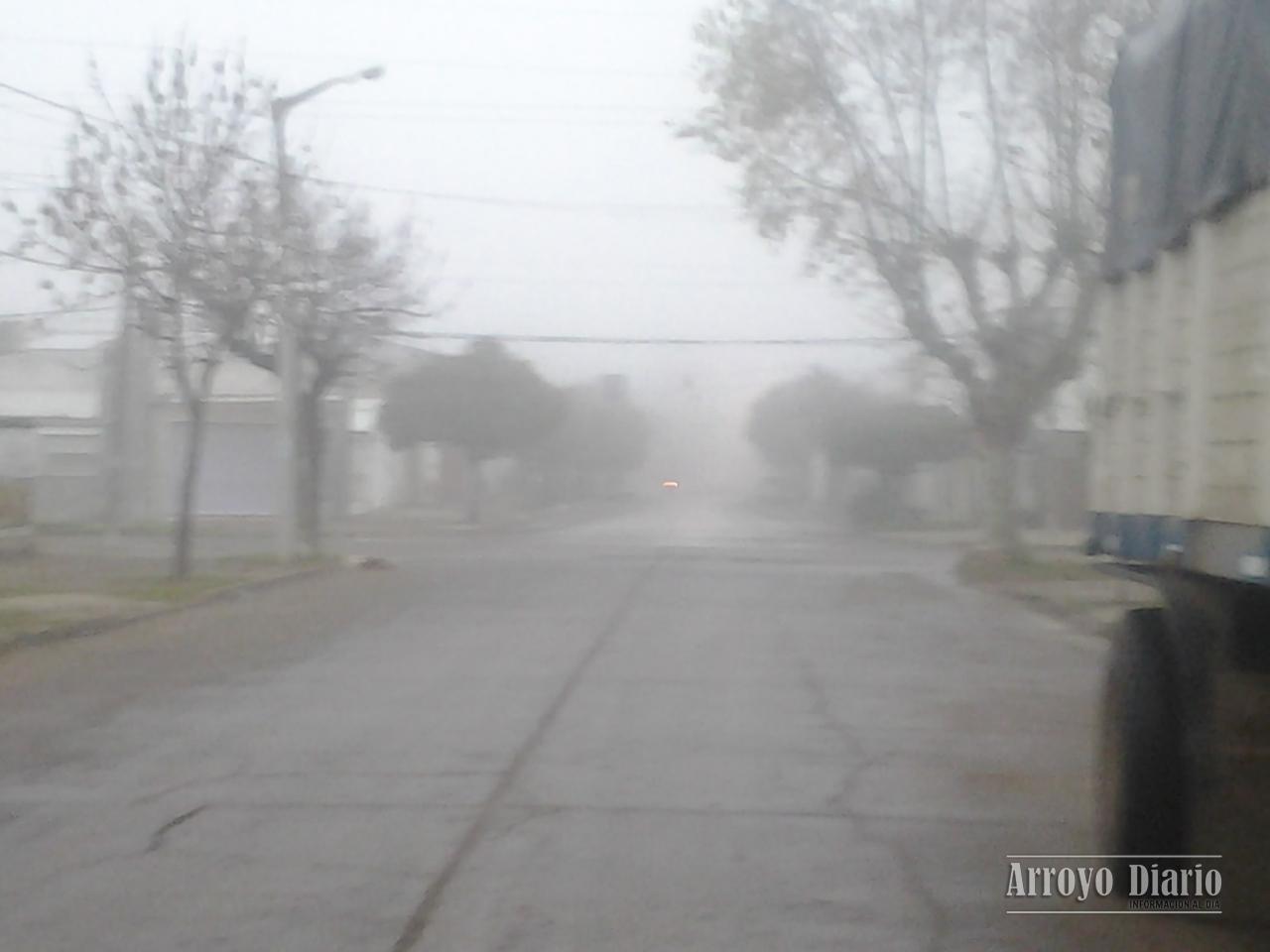 Niebla 3
