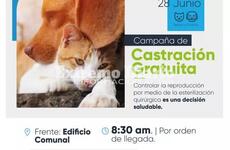 Imagen de Campaña de castraciones gratuitas de perros y gatos en Fighiera