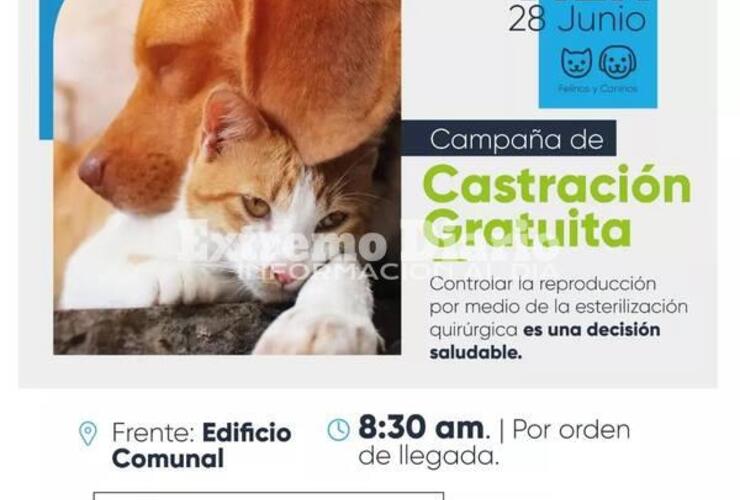 Imagen de Campaña de castraciones gratuitas de perros y gatos en Fighiera