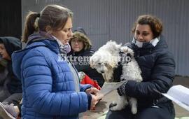 Imagen de Se realiz&oacute; una nueva jornada de castraciones gratuitas en Alvear