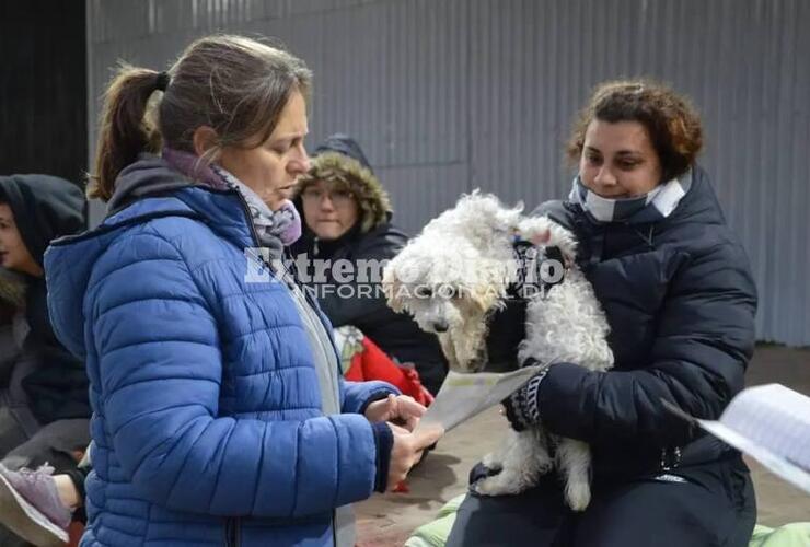 Imagen de Se realizó una nueva jornada de castraciones gratuitas en Alvear