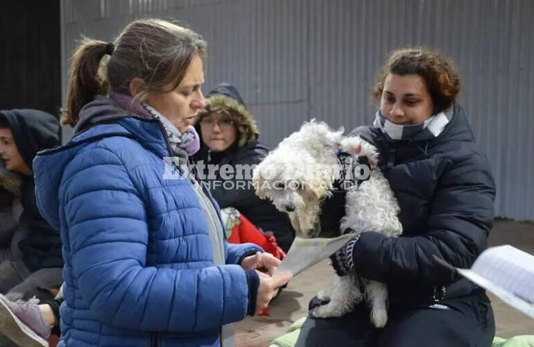 Imagen de Se realizó una nueva jornada de castraciones gratuitas en Alvear