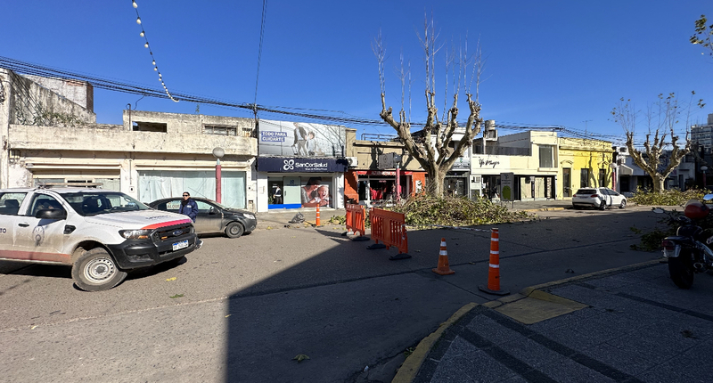 Imagen de Poda y escamonda en San Mart&iacute;n e Hip&oacute;lito Yrigoyen.