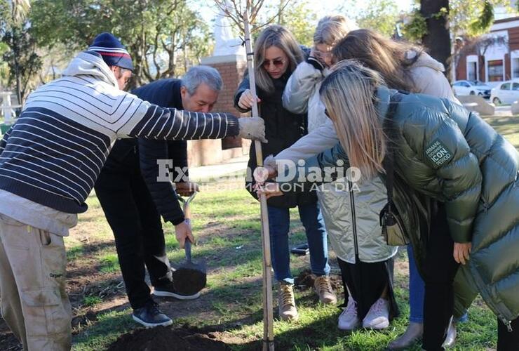 Imagen de Daniel Tonelli y Valientes por la Vida plantaron un árbol en la plaza 9 de julio