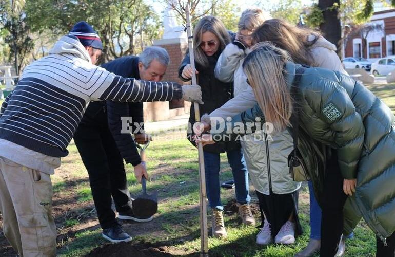 Imagen de Daniel Tonelli y Valientes por la Vida plantaron un &aacute;rbol en la plaza 9 de julio