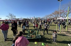 Imagen de Circo Itinerante Santafesino en la Plaza Raúl Alfonsin.