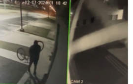 Captura de pantalla video c&aacute;maras de seguridad de la vivienda.