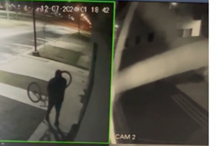 Captura de pantalla video c&aacute;maras de seguridad de la vivienda.