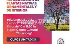 Imagen de Abri&oacute; la inscripci&oacute;n para participar del curso de reproducci&oacute;n de plantas nativas, ornamentales y de interior