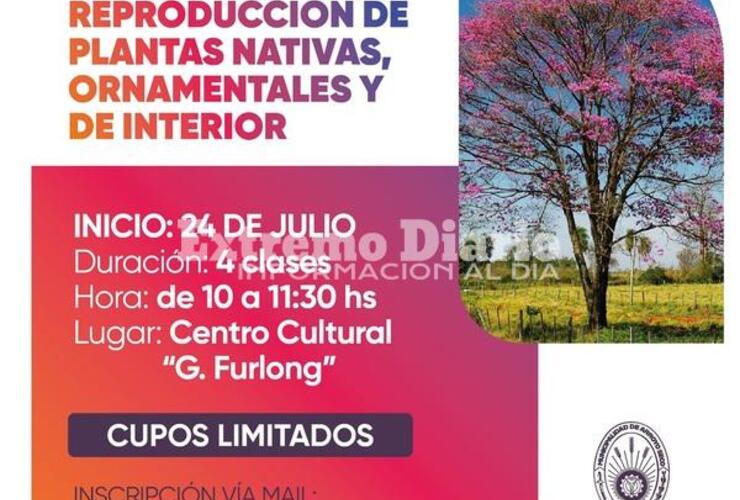 Imagen de Abrió la inscripción para participar del curso de reproducción de plantas nativas, ornamentales y de interior