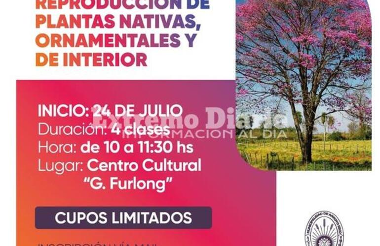 Imagen de Abrió la inscripción para participar del curso de reproducción de plantas nativas, ornamentales y de interior