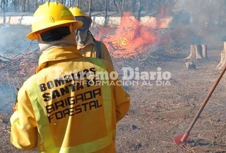 Imagen de Bomberos: Práctica para la brigada forestal en Bigand