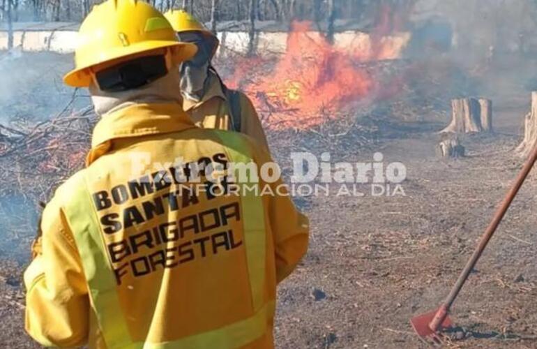 Imagen de Bomberos: Práctica para la brigada forestal en Bigand