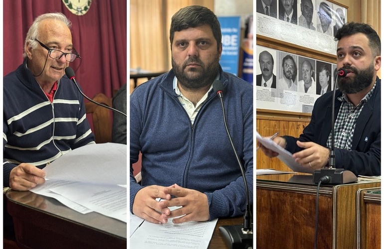 Imagen de Murina, Ghione y Salinas: Los proyectos presentados este martes en la sesión pública