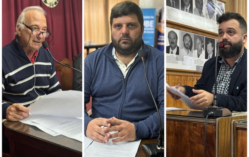 Imagen de Murina, Ghione y Salinas: Los proyectos presentados este martes en la sesi&oacute;n p&uacute;blica