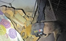 Imagen de Dirig&iacute;a una banda narco desde la c&aacute;rcel y su familia vend&iacute;a la droga: hay nueve detenidos