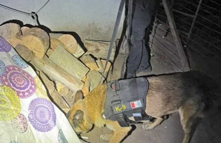 Imagen de Dirig&iacute;a una banda narco desde la c&aacute;rcel y su familia vend&iacute;a la droga: hay nueve detenidos