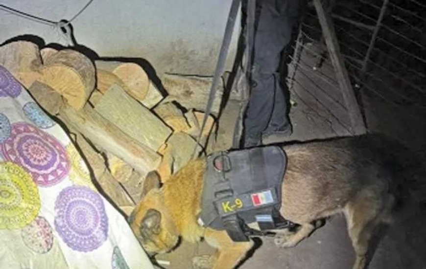 Imagen de Dirig&iacute;a una banda narco desde la c&aacute;rcel y su familia vend&iacute;a la droga: hay nueve detenidos
