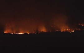 El trabajo de la Polic&iacute;a en la zona del hallago del hombre asesinado.