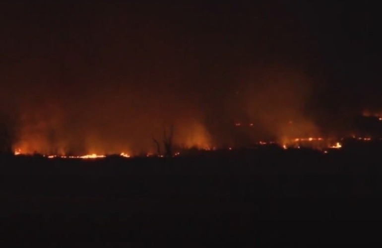 El trabajo de la Polic&iacute;a en la zona del hallago del hombre asesinado.