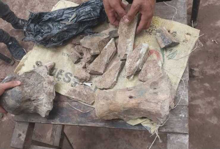 Imagen de Hallazgo paleontol&oacute;gico en Pueblo Esther: Reuni&oacute;n con el equipo de arqueolog&iacute;a y paleontolog&iacute;a de la Subsecretar&iacute;a de Identidad y Territorio