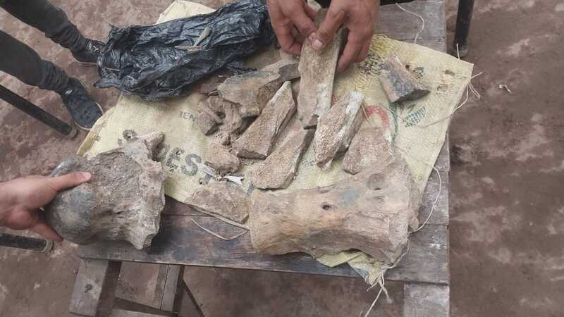 Imagen de Hallazgo paleontol&oacute;gico en Pueblo Esther: Reuni&oacute;n con el equipo de arqueolog&iacute;a y paleontolog&iacute;a de la Subsecretar&iacute;a de Identidad y Territorio