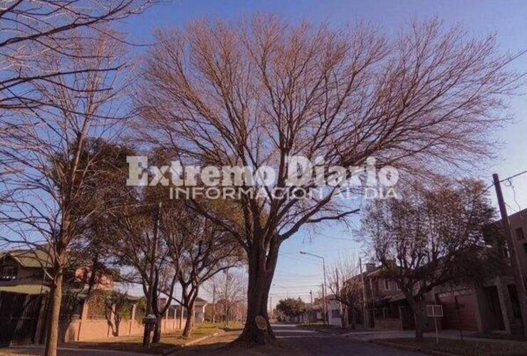 Imagen de Zoe Far&iacute;as es la ganadora del concurso de fotograf&iacute;a que organiz&oacute; el Concejo Municipal