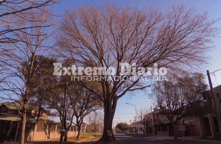 Imagen de Zoe Far&iacute;as es la ganadora del concurso de fotograf&iacute;a que organiz&oacute; el Concejo Municipal